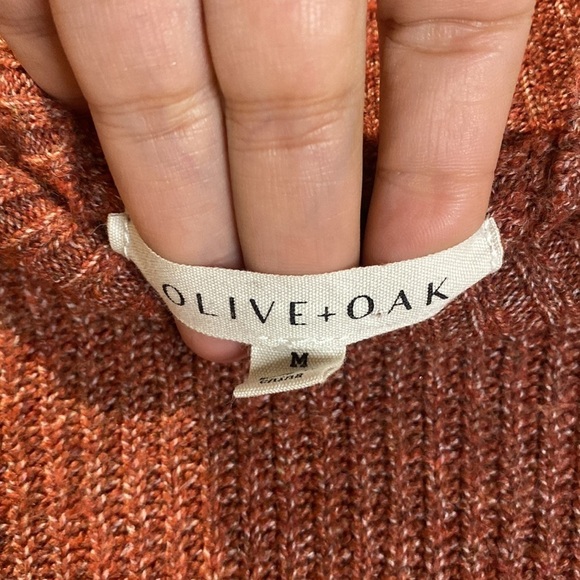 Olive & Oak Color-Block Turtleneck Knit Sweater - Medium - Picture 2 of 8